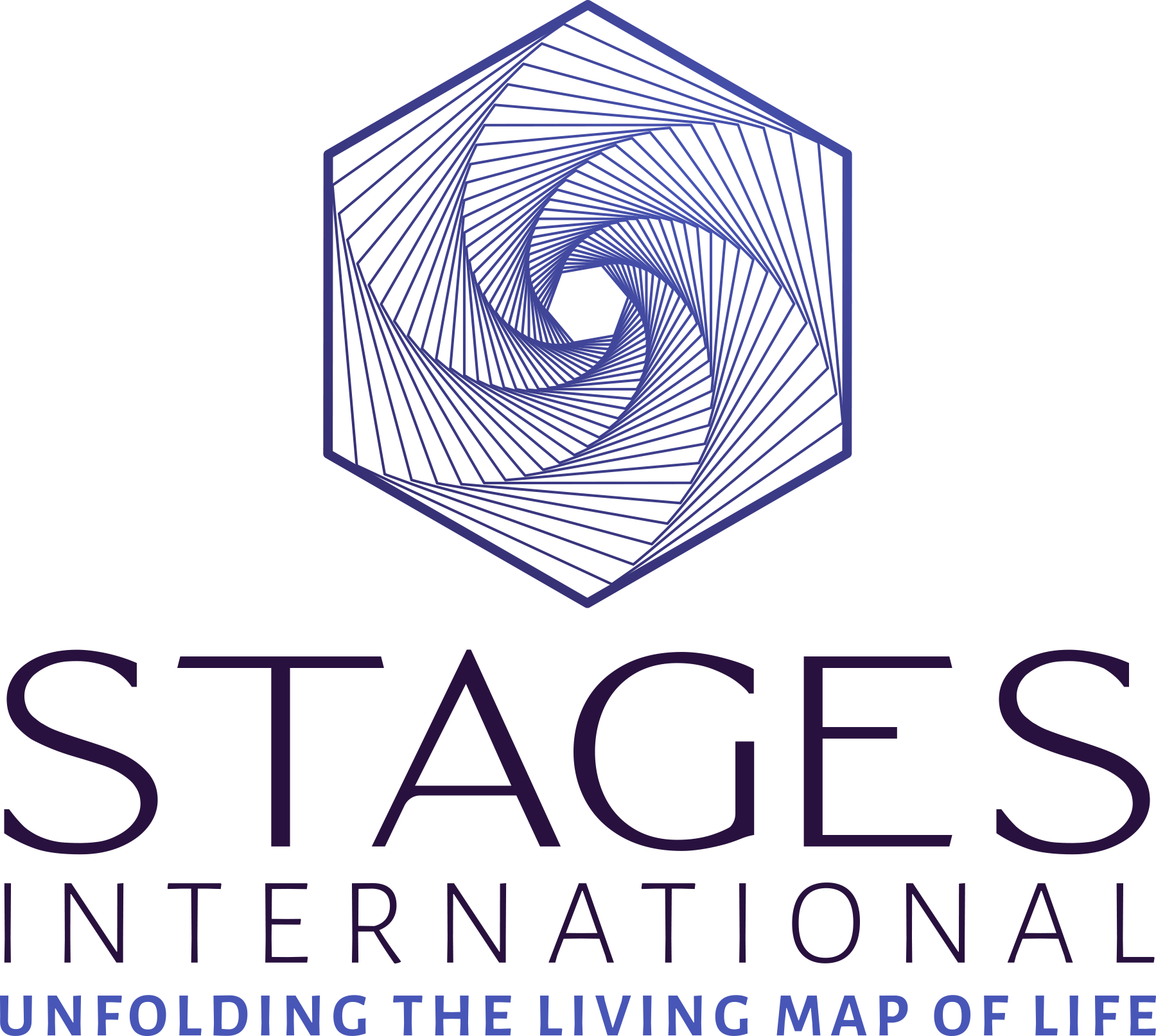 Logo stagesinternational.com